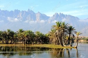 سقطرى