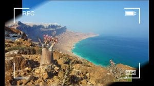 جزيرة سقطرى