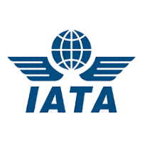 المنظمة الدولية للنقل الجوي